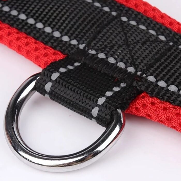 summer french bulldog harness