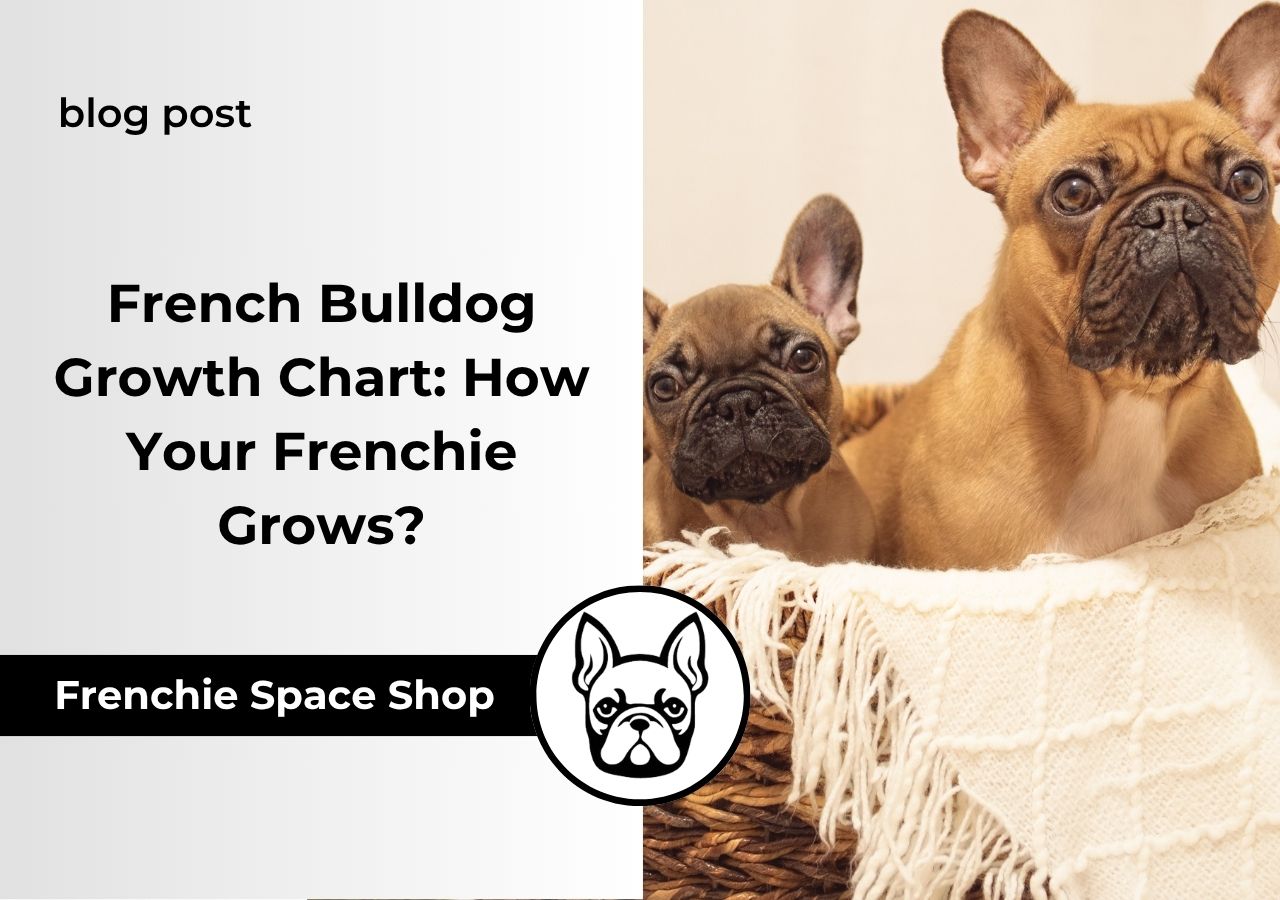 French Bulldog Growth Chart How Your Frenchie Grows