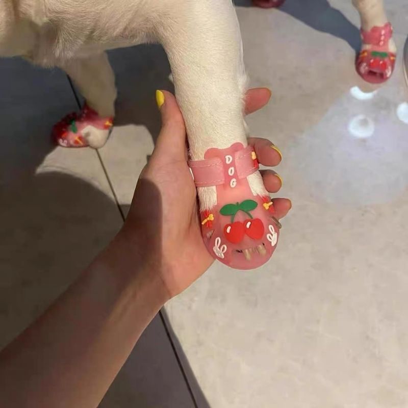 french bulldog summer sandals