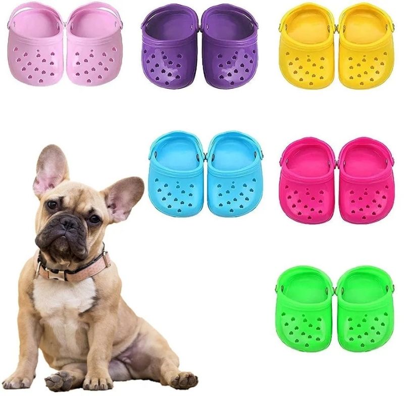 frenchie crocky sandals