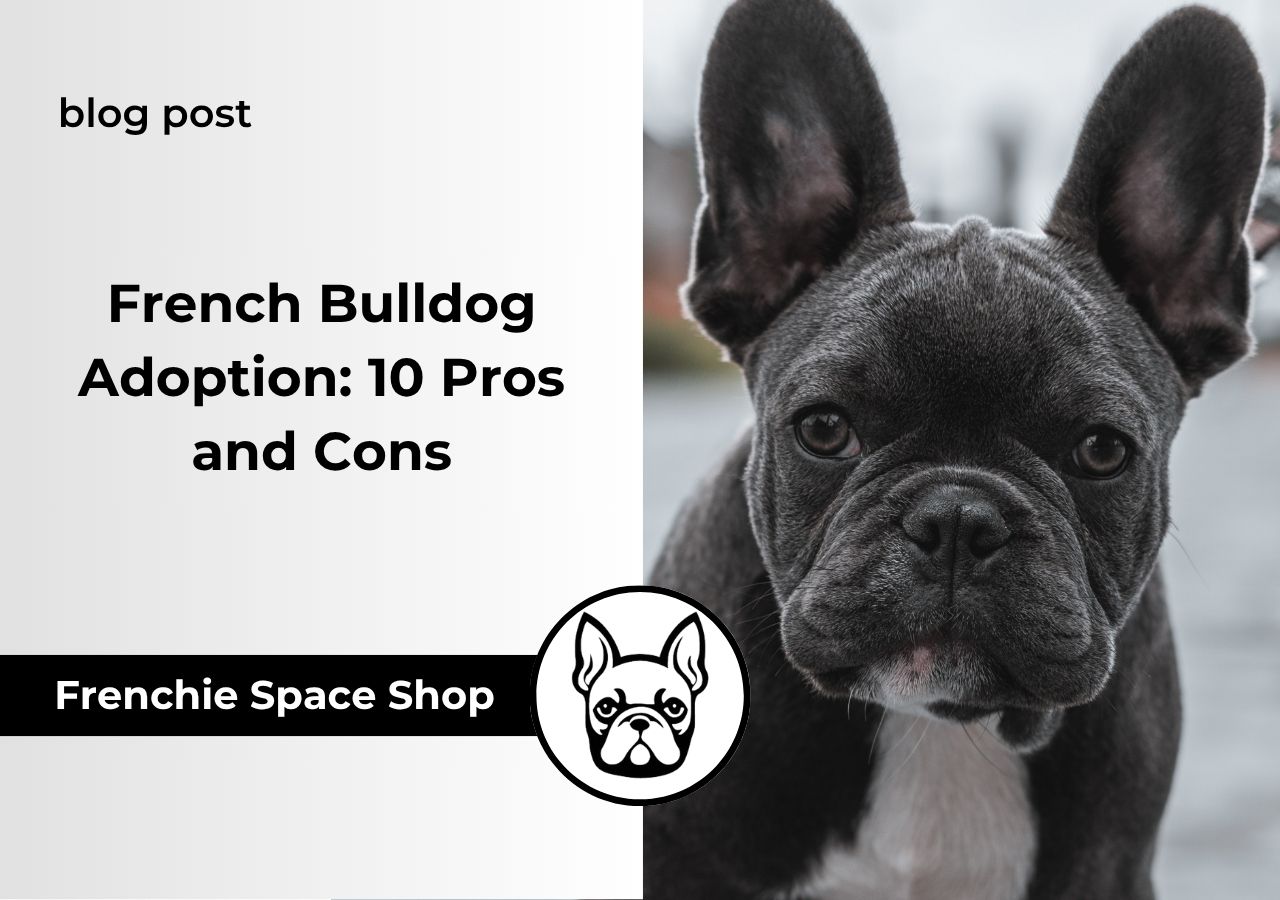 french bulldog adoption