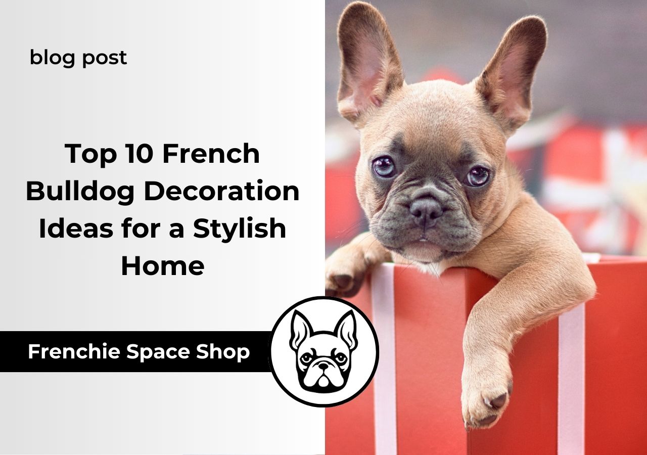 frenchie space french bulldog decoration
