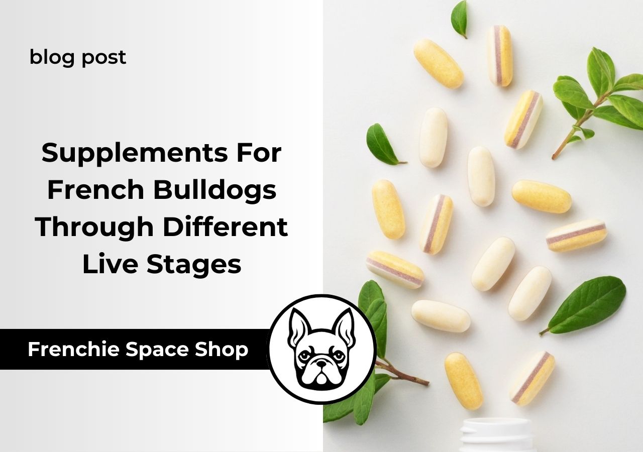 frenchie space french bulldog supplements