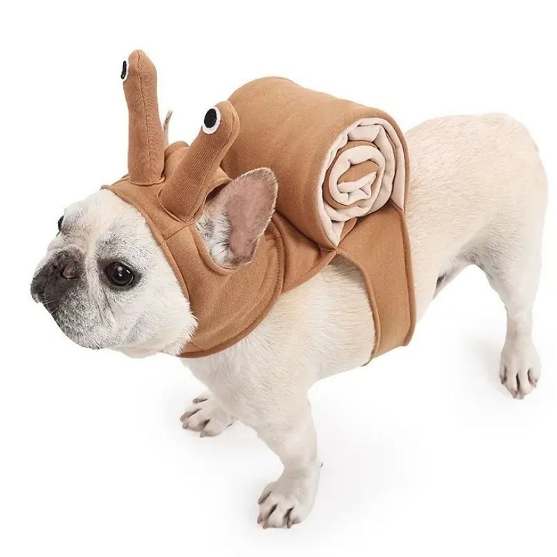 french bulldog snail costume
