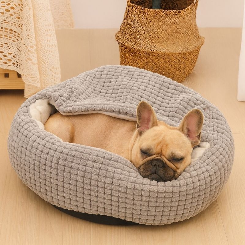sleepy cloud french bulldog bed