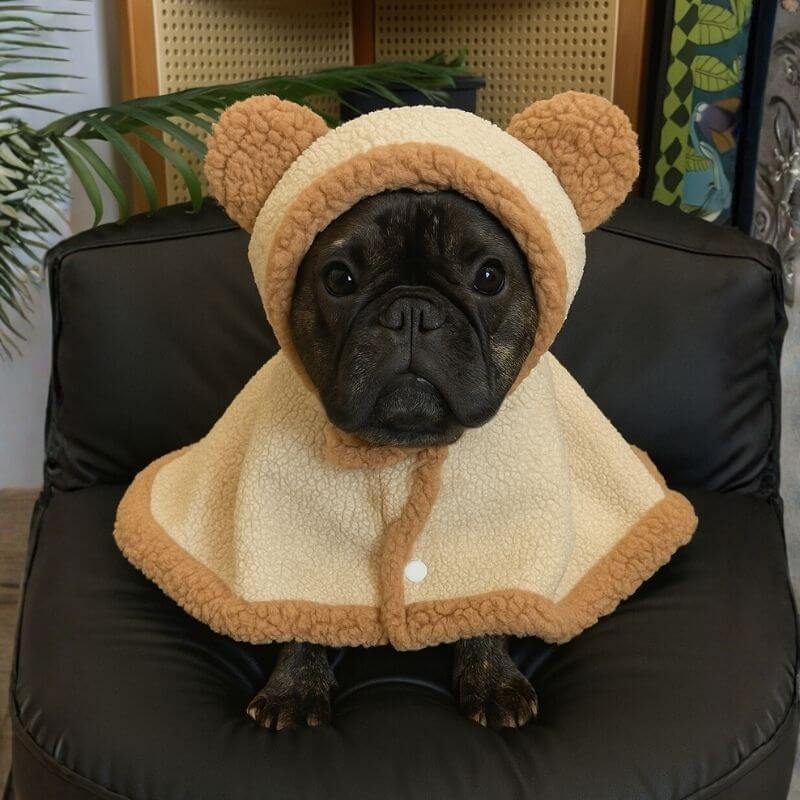 cuddlecub french bulldog blanket