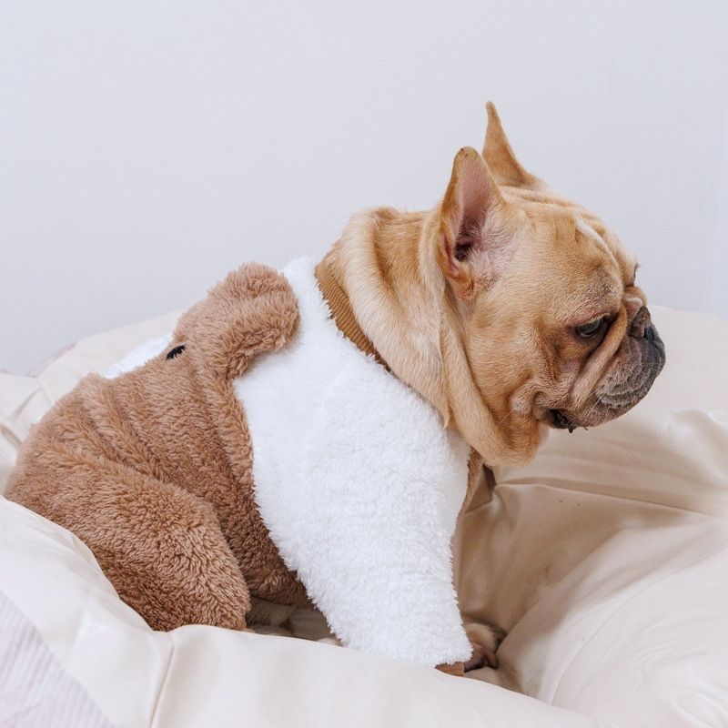 cuddly frenchie bear jumpsuit