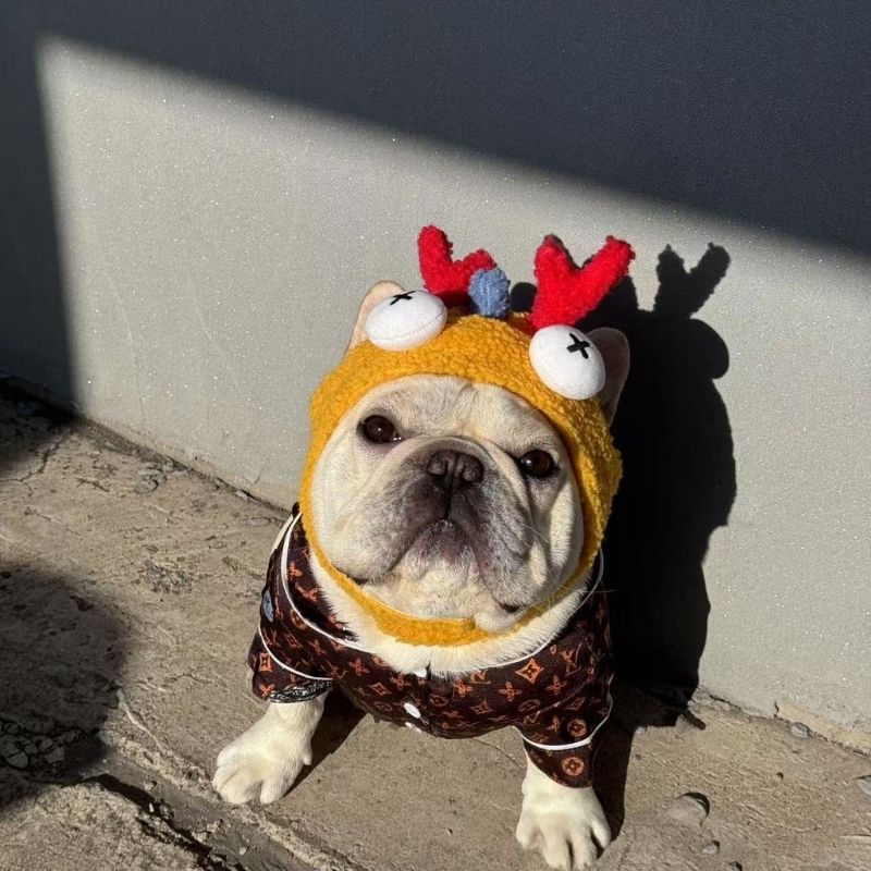 monster madness frenchie hat