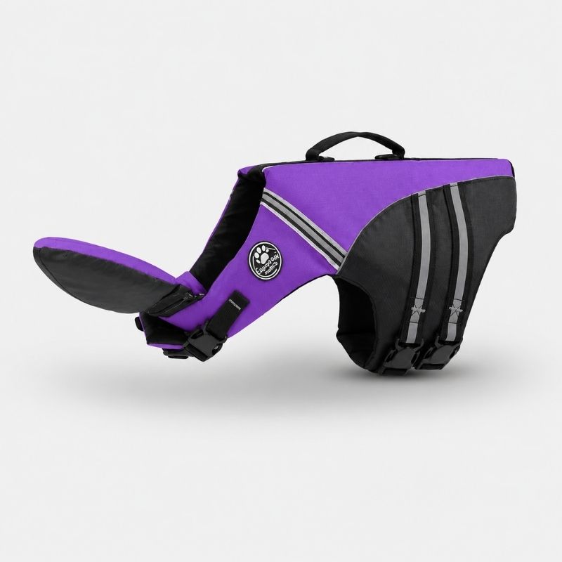 chinfloat frenchie life vest