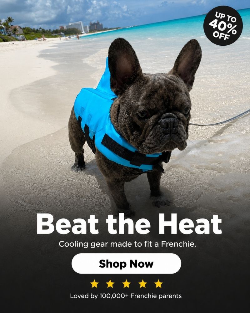 frenchie-space-beat-the-heat-banner beat the heat