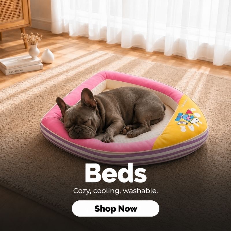 frenchie-space-bed-banner-novi beds banner