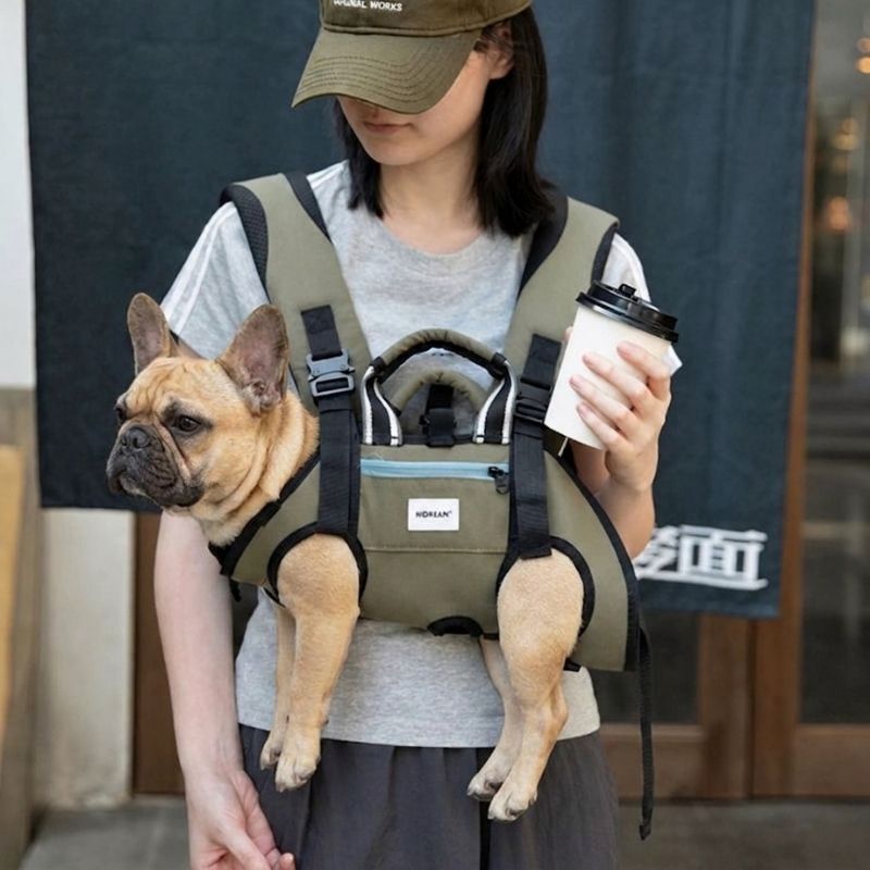 carrier