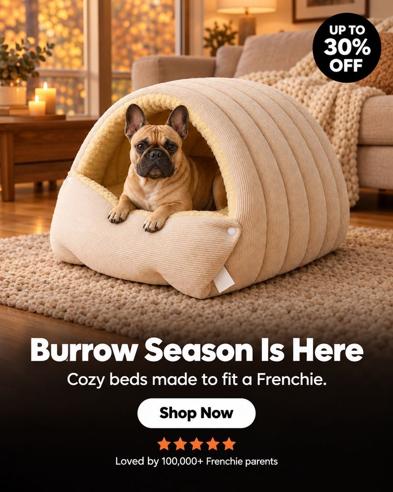 French Bulldog Beds